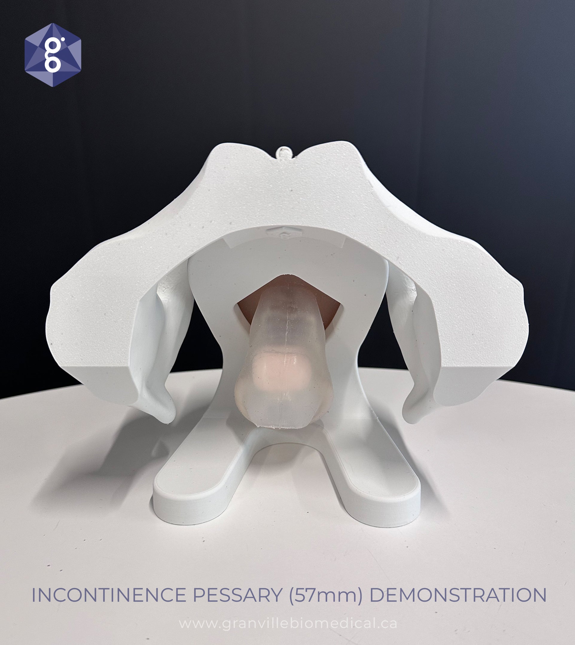 Iris Pessary and Device Demonstration Model