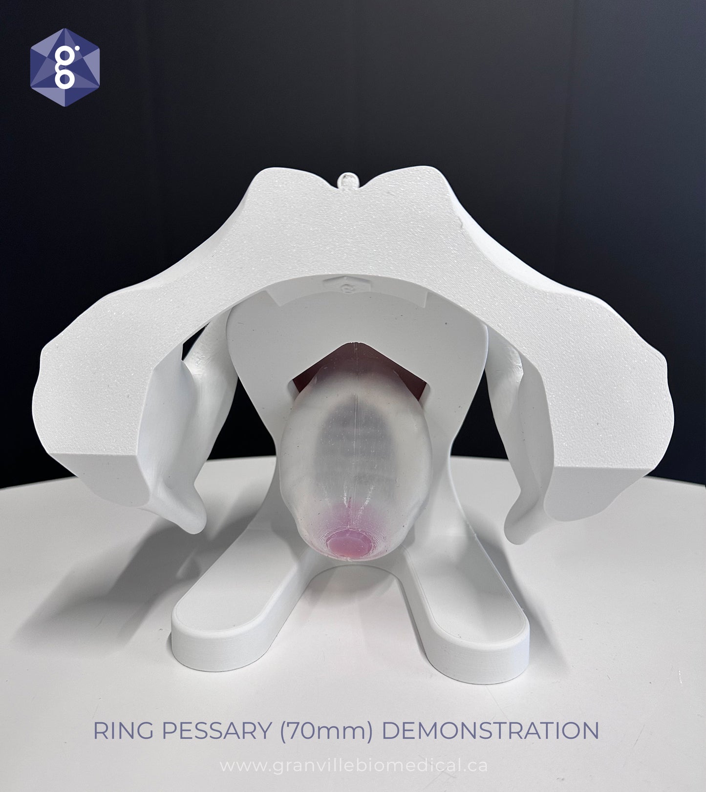 Iris Pessary and Device Demonstration Model
