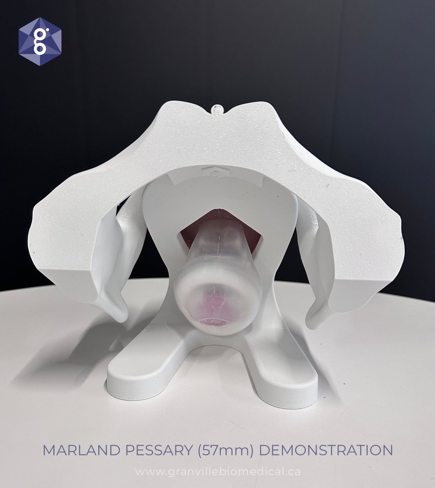 Iris Pessary and Device Demonstration Model