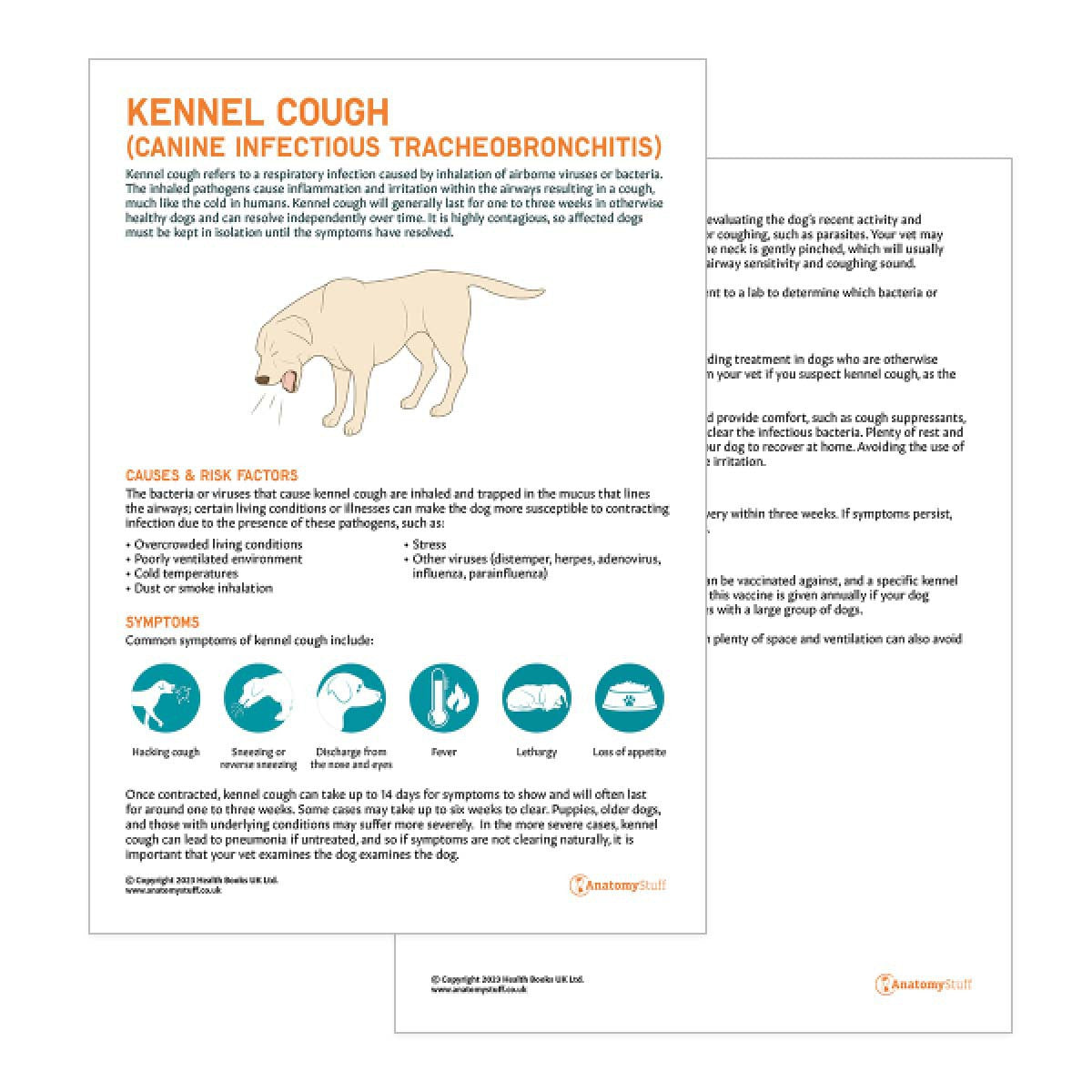 Kennel Cough Pet Owner Education Handout (Printable PDF)