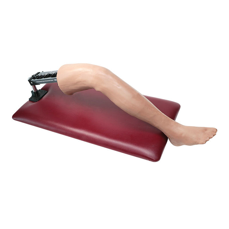 Knee and Ankle Sports Injury Assessment Trainer