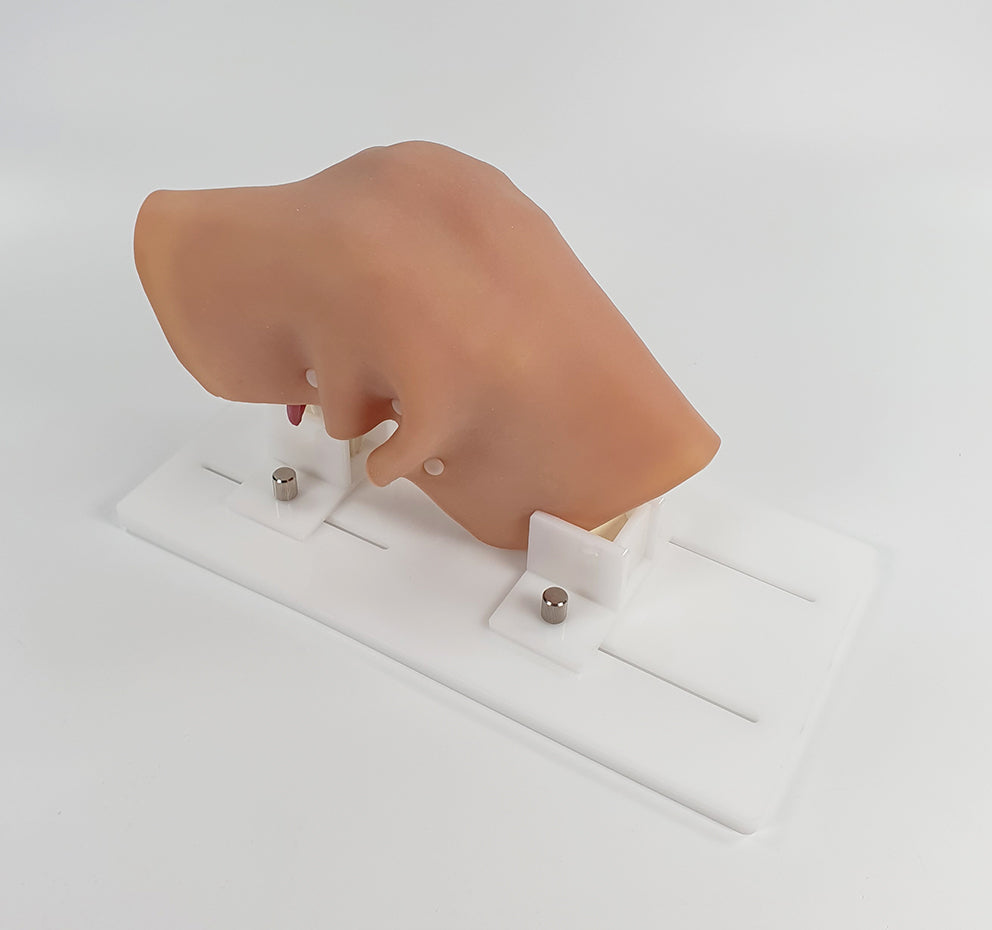 Knee Surgery Trainer L-KNS-01 Image 2