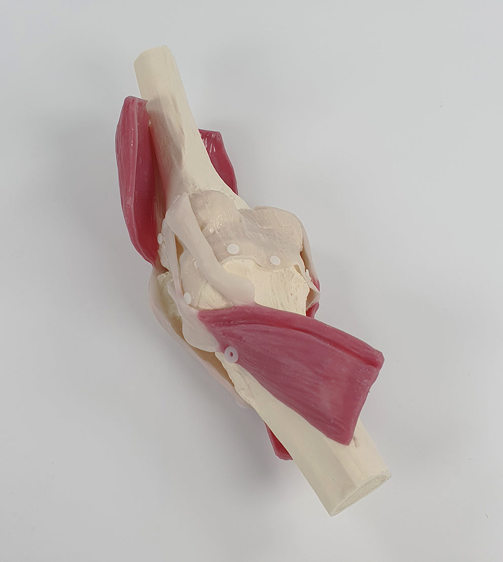 Knee Surgery Trainer