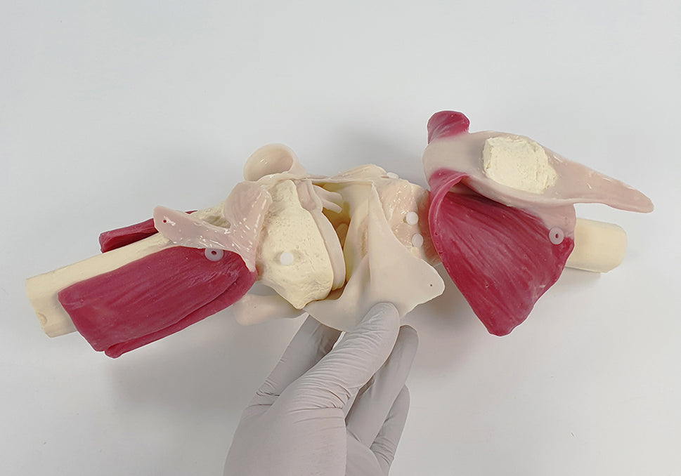 Knee Surgery Trainer