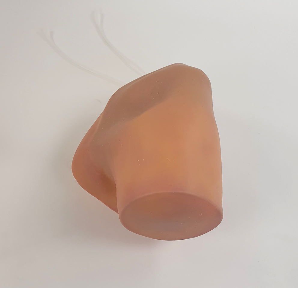 Shoulder Surgery Trainer