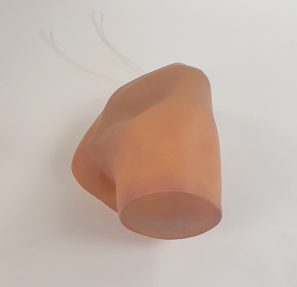 Shoulder Surgery Trainer