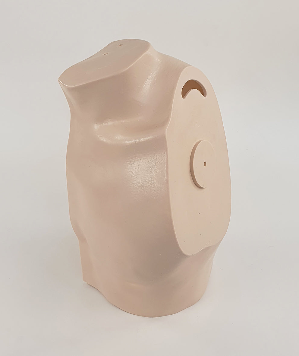 Shoulder Surgery Trainer L-SHS-01 Image 5