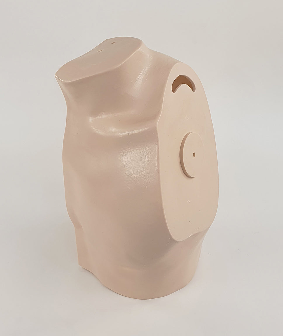 Shoulder Surgery Trainer