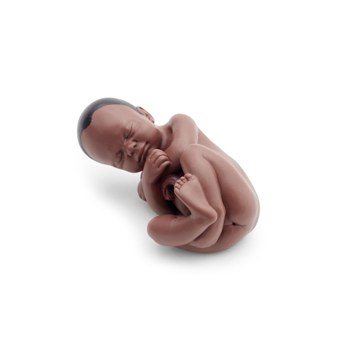 Human Pregnancy Model (40th week, 3 parts) Dark Skin 1024385 foetus front