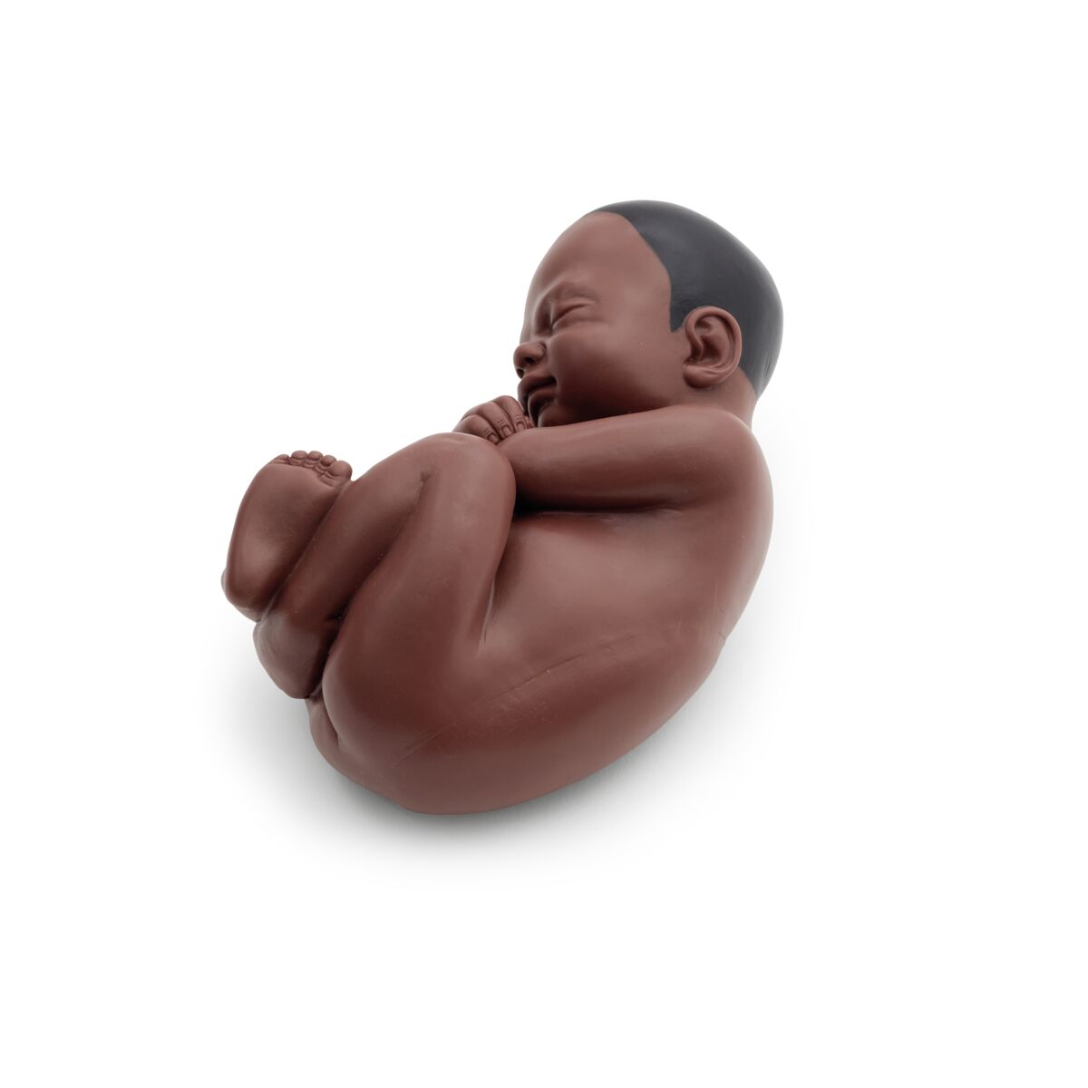 Human Pregnancy Model (40th week, 3 parts) Dark Skin 1024385 foetus back