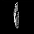 Switch Phantom dog sagittal CT 3 image