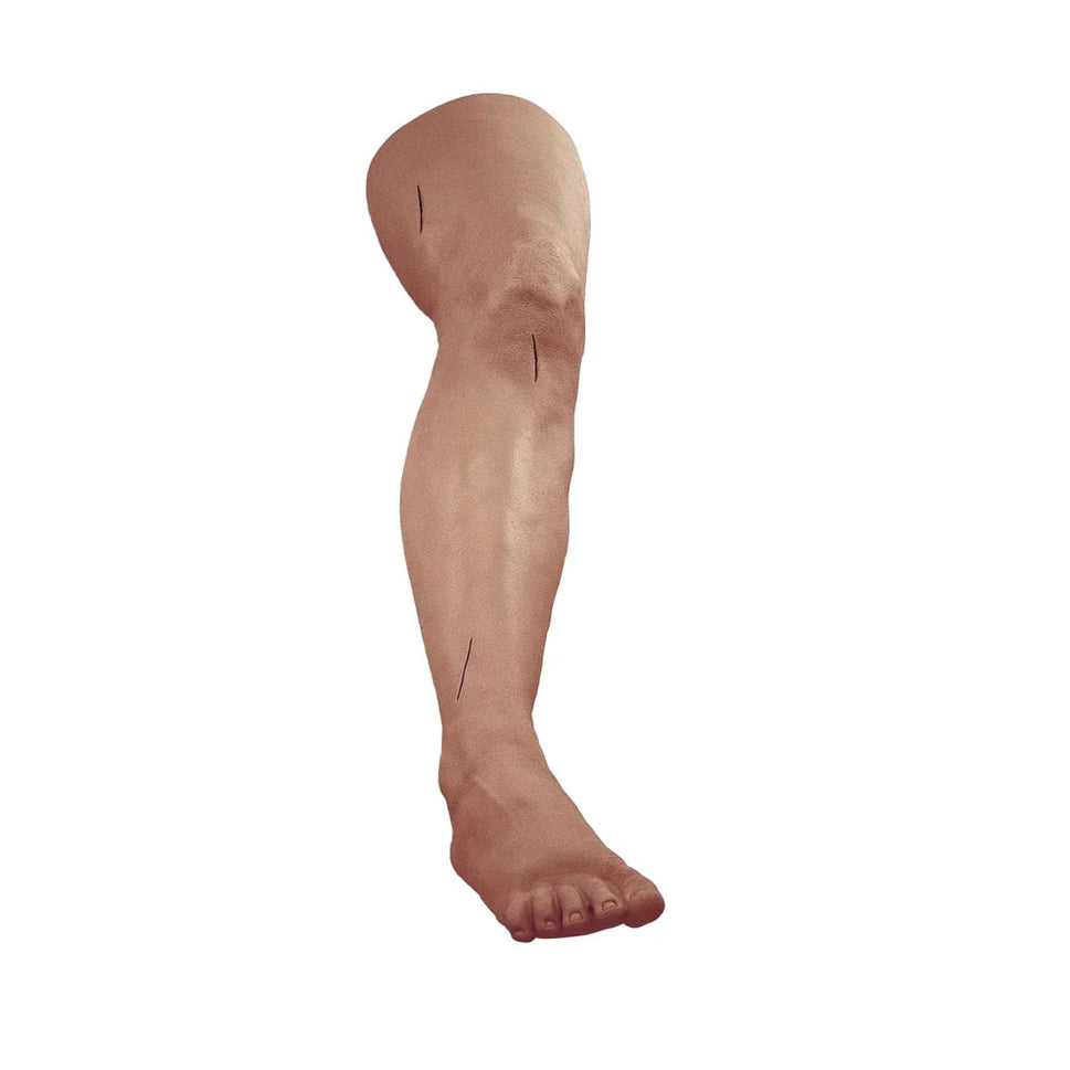 Suture/Stapling Practice Model