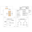 Switch Foot &amp; Ankle Anatomy Revision Worksheets 2 image