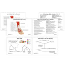 Switch Knee Anatomy Revision Worksheets 3 image