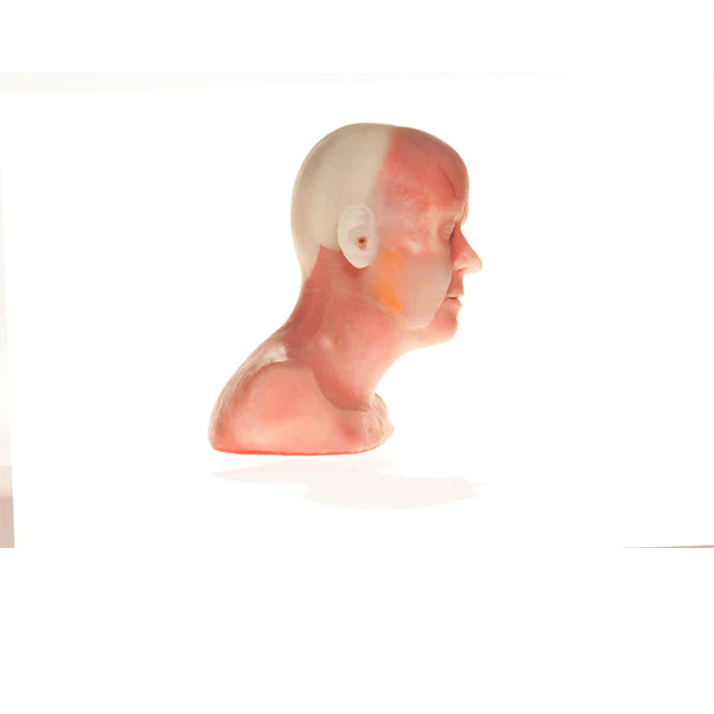 Diaphanous Zsa Zsa Cosmetic Filler Model