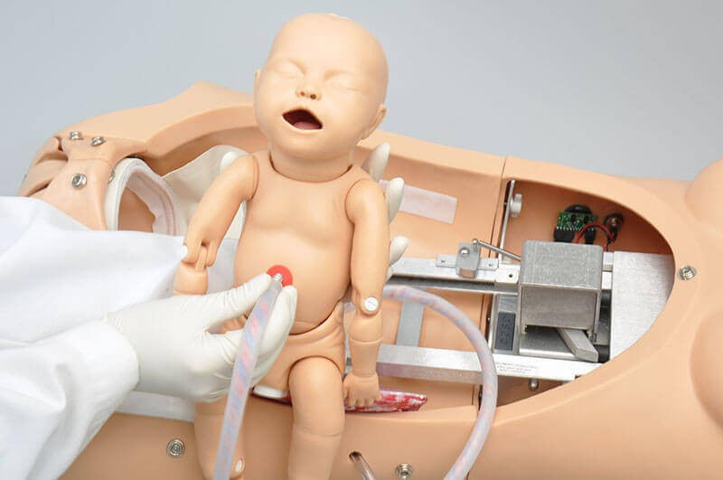 NOELLE Skills Trainer Package with OMNI Birthing Torso