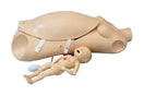 Switch Life-size Female Adult and Foetus for Childbirth 3 image