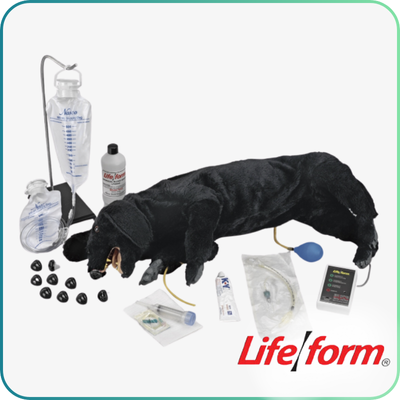 Life/Form