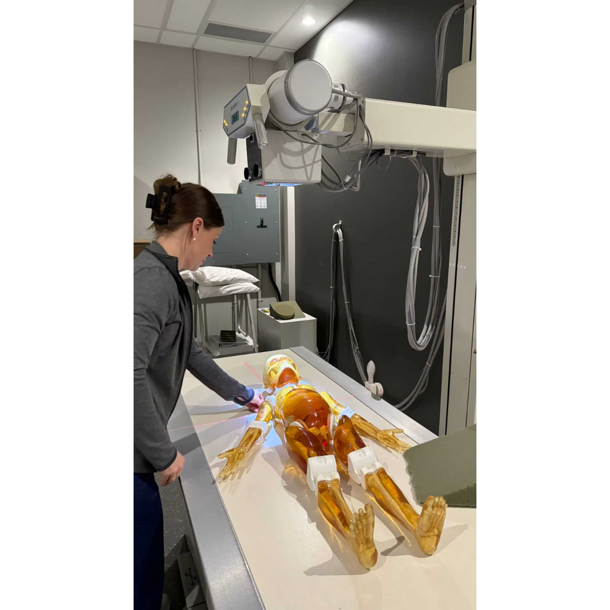 Paediatric Full Body for X-Ray CT, MRI FB-P01 image 19
