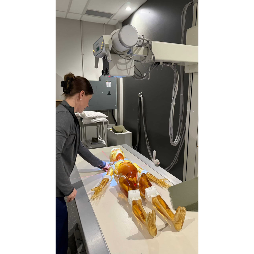 Paediatric Full Body Phantom for X-Ray CT, MRI