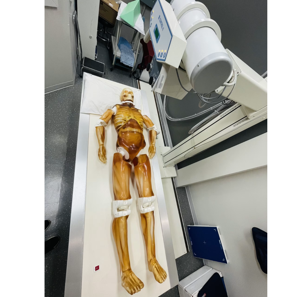 Adult Full Body Phantom with Muscles for X-Ray CT, MRI