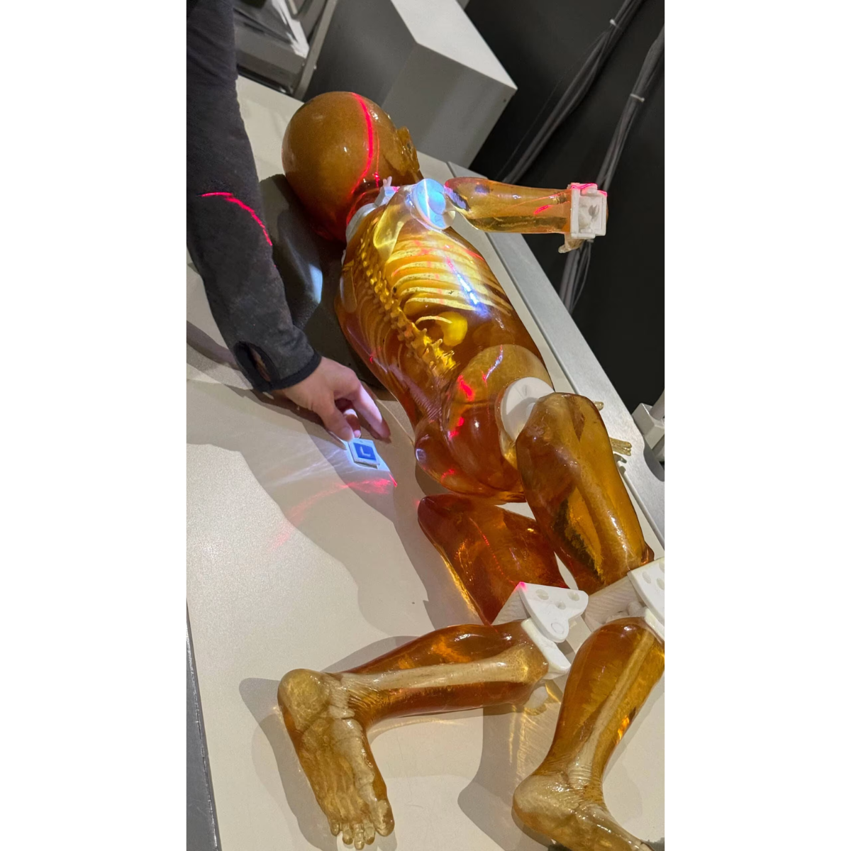 Paediatric Full Body Phantom for X-Ray CT, MRI