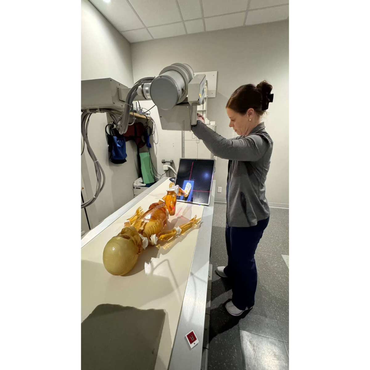Paediatric Full Body Phantom for X-Ray CT, MRI