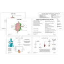 Switch Lymphatic System Anatomy Revision Guide 2 image