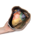 Switch Posterior Aspect of the Pericardial Space 3D Printed Anatomy Model 3 image