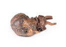 Switch Posterior aspect of the heart 3D printed anatomy model 3 image