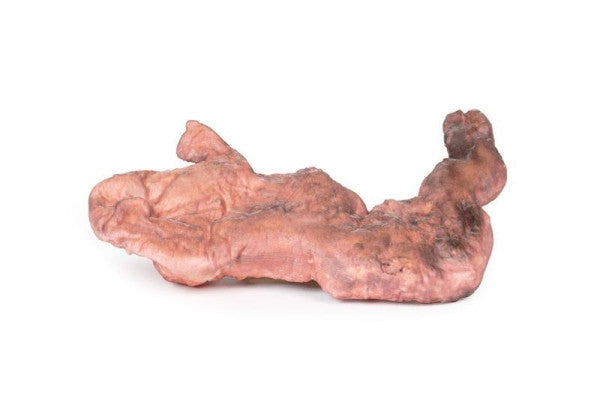 Stomach 3D Printed Anatomy Model