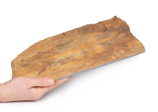 Lateral View of the Internal Abdominal Wall Model