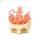Switch Arterial Circulation Model 3 image
