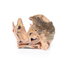Switch Inferior Aspect of the Inhaled Foreign Body Trachea 3D Printed Anatomy Model 3 image