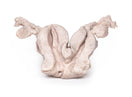 Switch Uterus Bicornuate Unicollis 3D Printed Anatomy Model 3 image