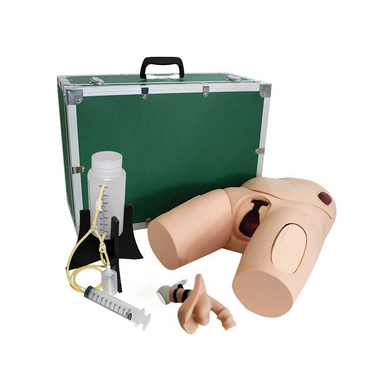 Vinyl Male / Female Catheterisation Simulator