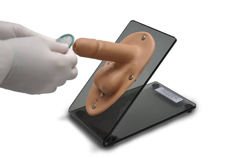 Male Condom Model