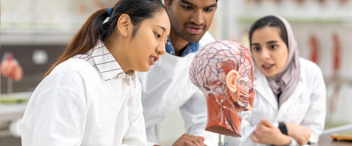 Medical School Revision Essentials