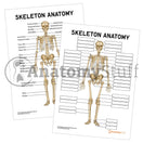 Switch Medical Students Revision Tool Key Bones 3 image
