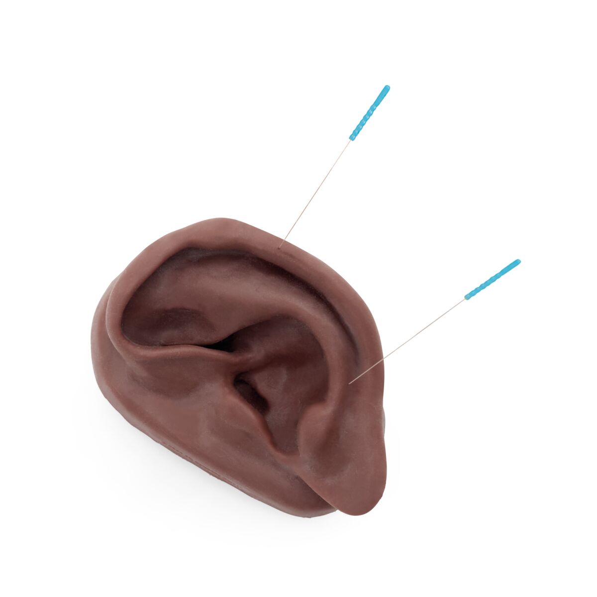 N16D Acupuncture Ears Set 10 dark 1024486 needles in ear