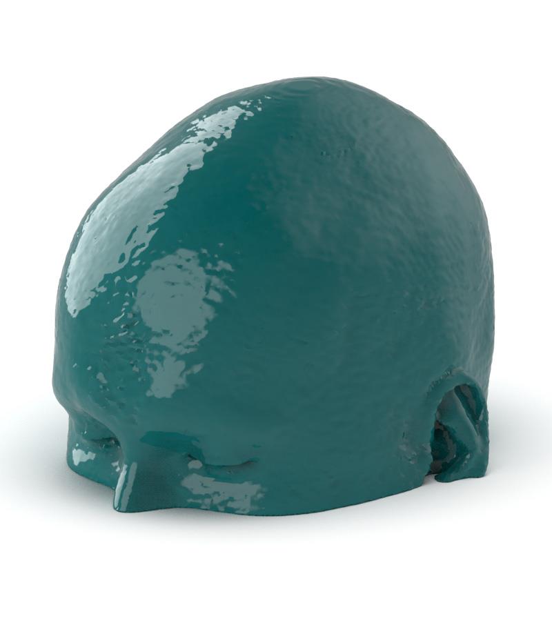 Anatomy Phantom Models for CT,  X-Ray, and Radiation Therapy