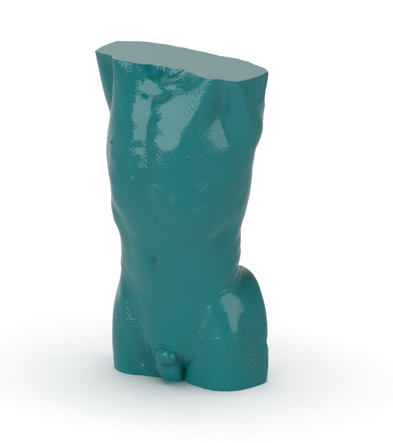 Anatomy Phantom Models for CT,  X-Ray, and Radiation Therapy