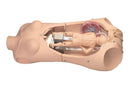 Switch Full-size Female Torso with Birthing Baby 2 image