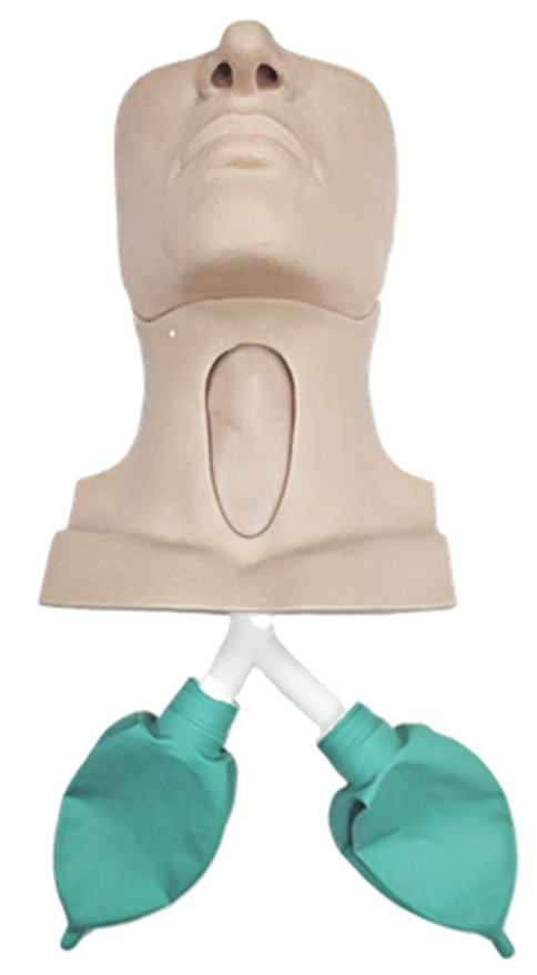 Adult Cric Trainer
