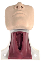 Switch Adult Cric Trainer 2 image