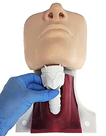 Adult Cric Trainer