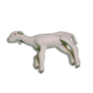 Switch Non-Penetrating Captive Bolt Gun Lamb Training Model 2 image