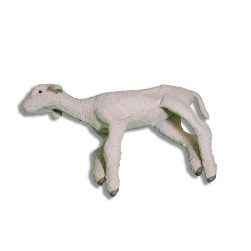 Non-Penetrating Captive Bolt Gun Lamb Training Model