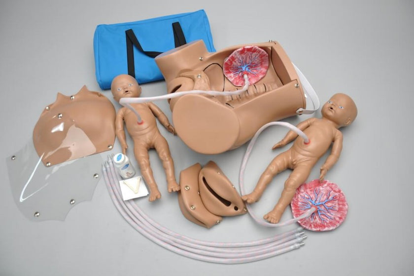 Versatile Obstetric SUSIE The Original Childbirth Skills Trainer