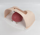 Switch C-Section Trainer P-CSE-01 Image 2 2 image